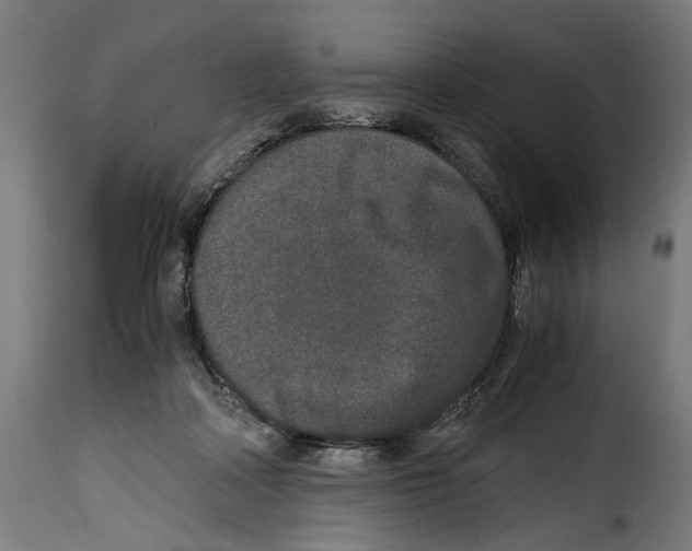 X0000115000314200911231210