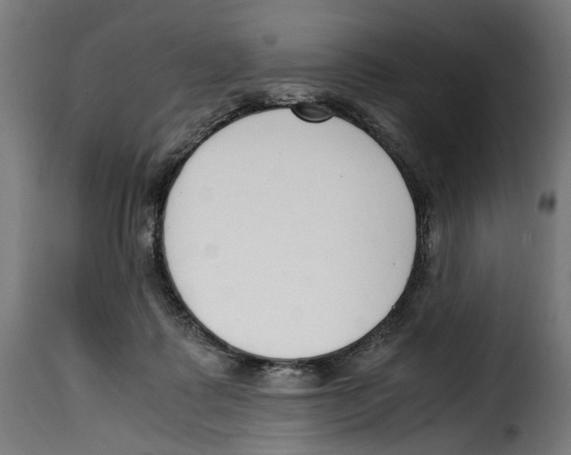 X0000115000315200911231210