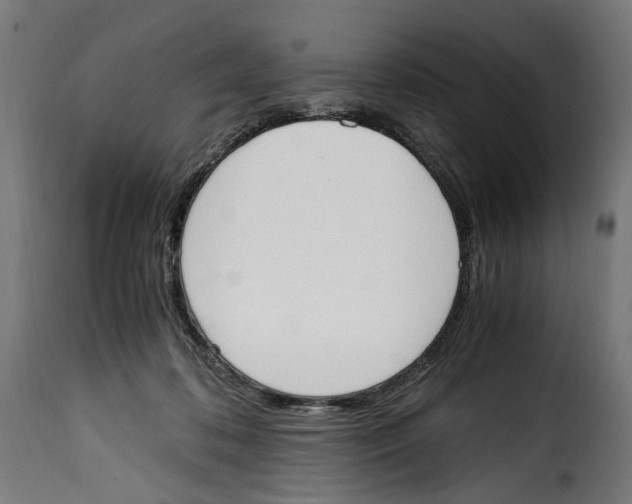 X0000115000316200911231210