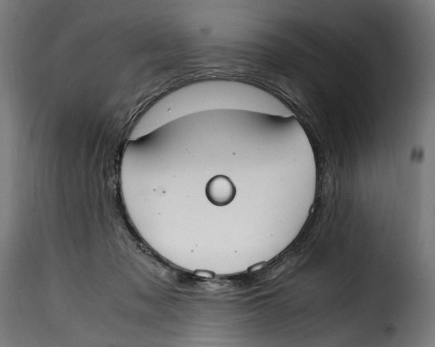 X0000115000317200911231210