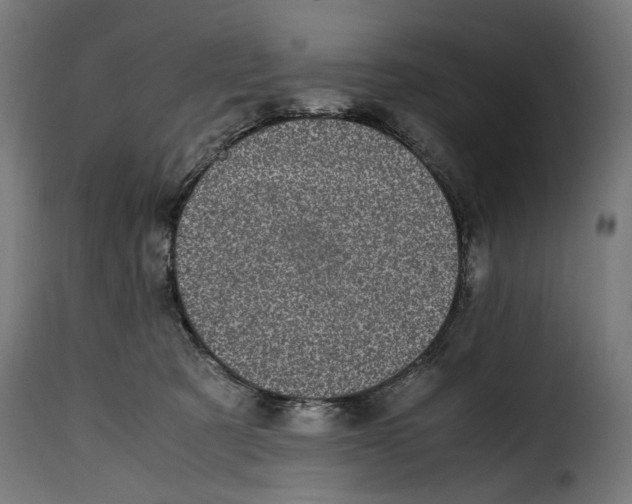 X0000115000321200911231210