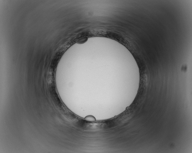 X0000115000323200911231210