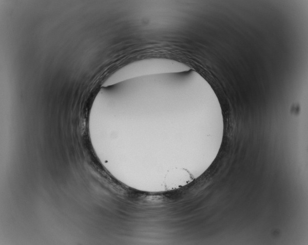 X0000115000324200911231210