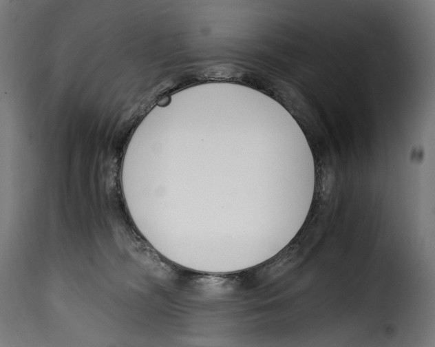 X0000115000326200911231210