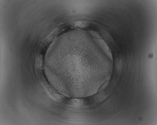 X0000115000328200911231210