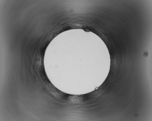 X0000115000331200911231210