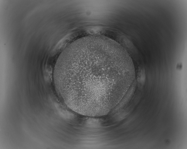 X0000115000332200911231210