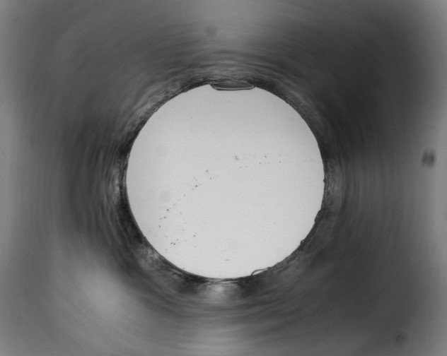 X0000115000333200911231210