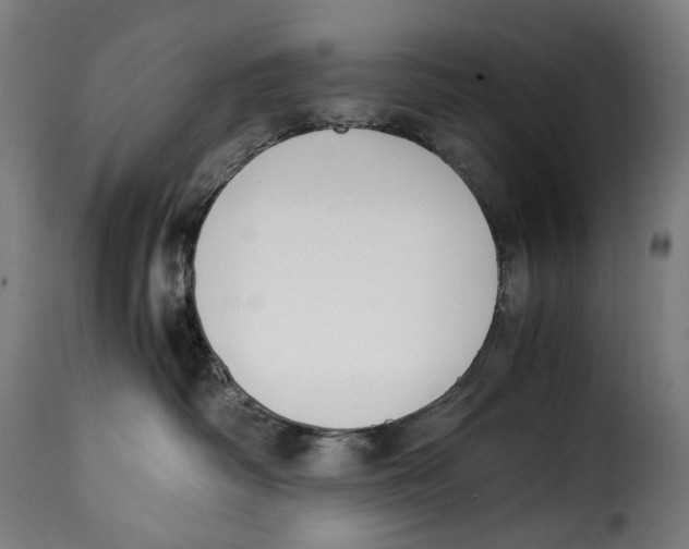 X0000115000334200911231210