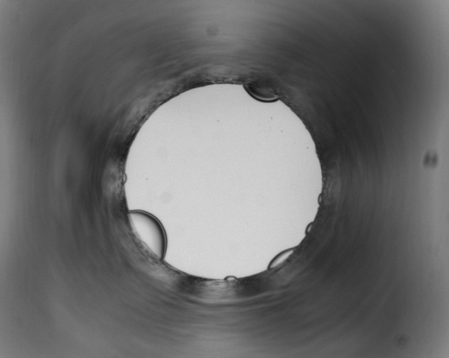 X0000115000335200911231210