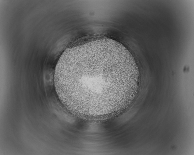 X0000115000336200911231210