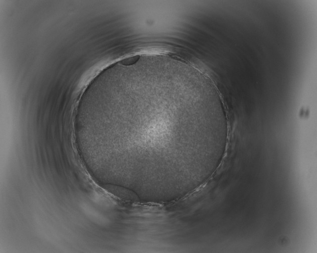 X0000115000337200911231209