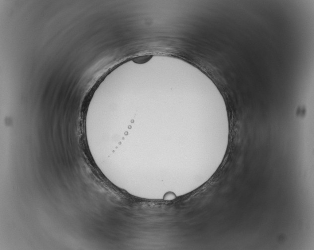 X0000115000338200911231209