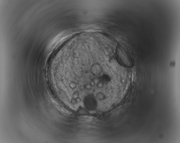 X0000115000339200911231209