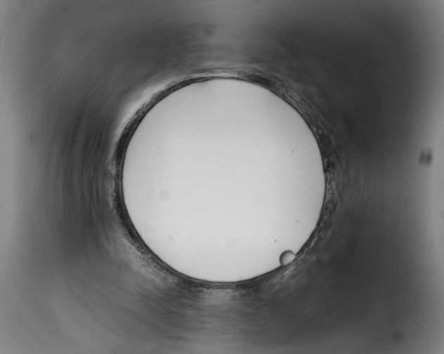 X0000115000342200911231209