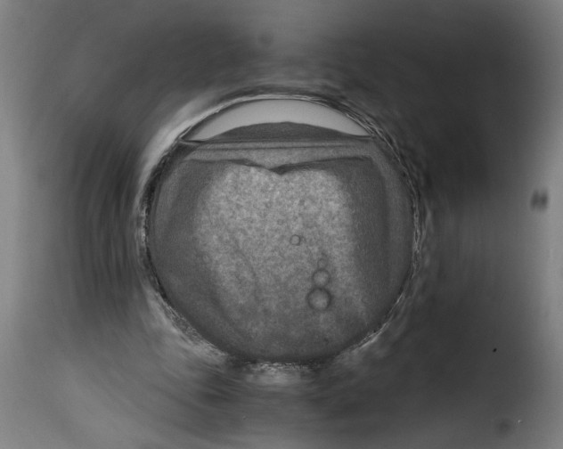 X0000115000343200911231209