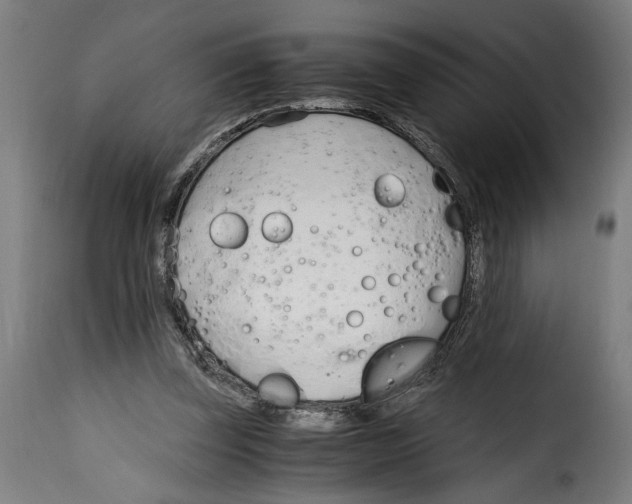 X0000115000347200911231209