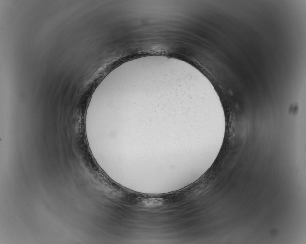 X0000115000355200911231209