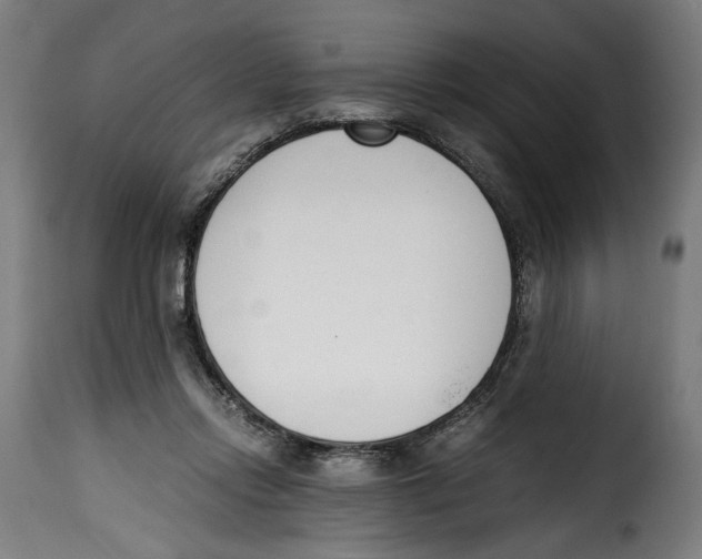 X0000115000358200911231210