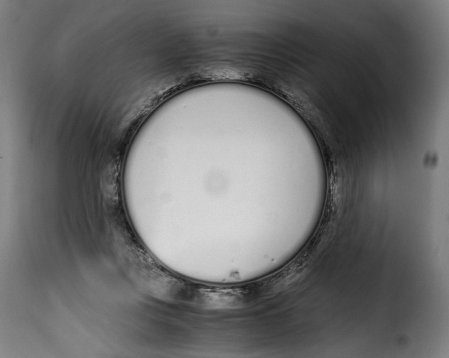 X0000115000359200911231210