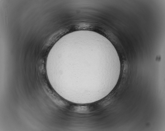 X0000115000361200911231210