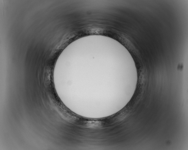 X0000115000363200911231210