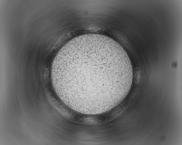 X0000115000365200911231210