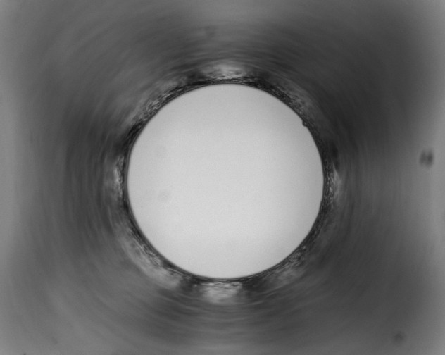 X0000115000373200911231210