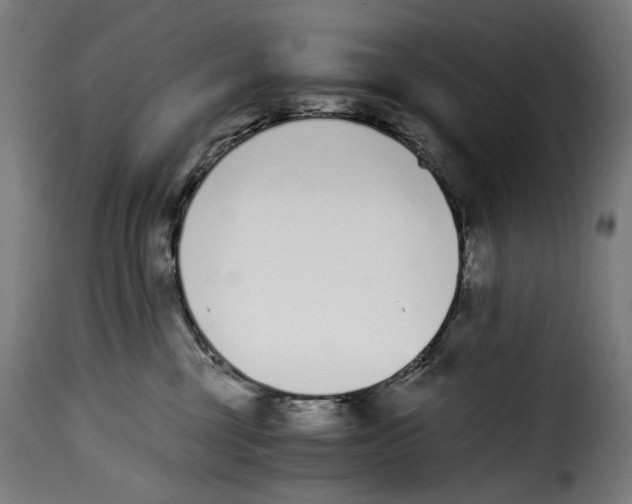 X0000115000377200911231210