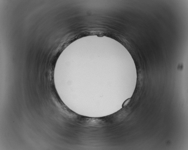 X0000115000379200911231210