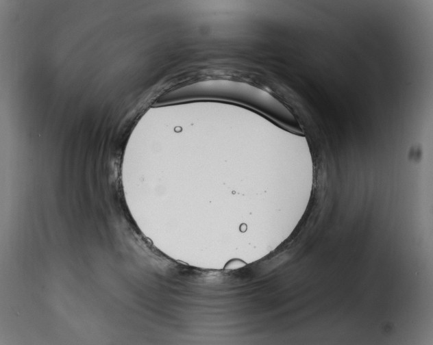 X0000115000382200911231210