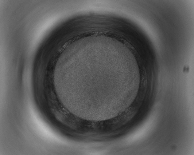 X0000115000383200911231210