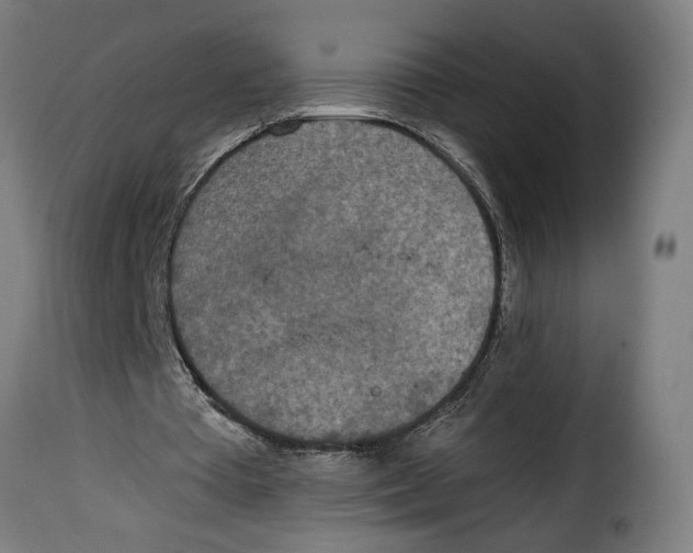 X0000115000385200911231209