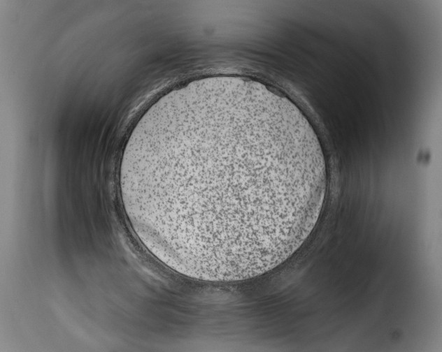 X0000115000386200911231209