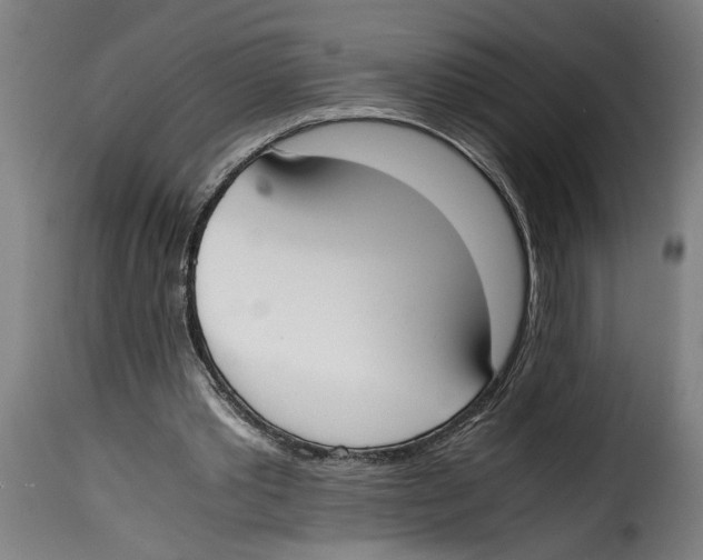 X0000115000389200911231209