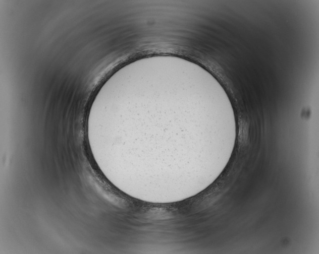 X0000115000390200911231209