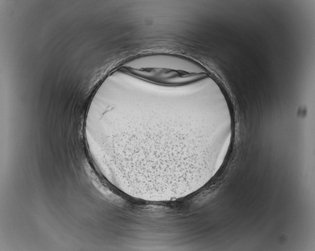 X0000115000393200911231209