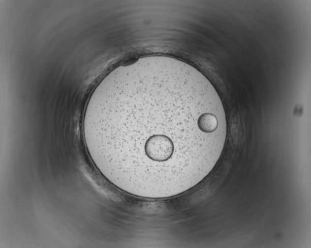 X0000115000398200911231209