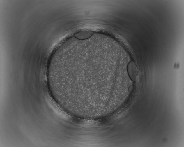 X0000115000399200911231209