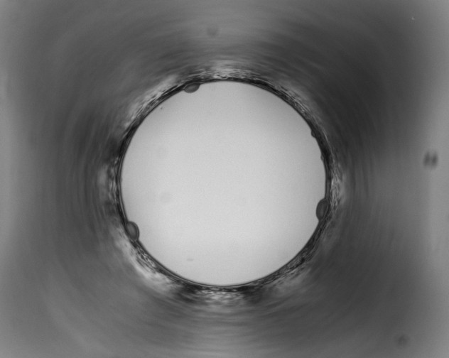 X0000115000401200911231209