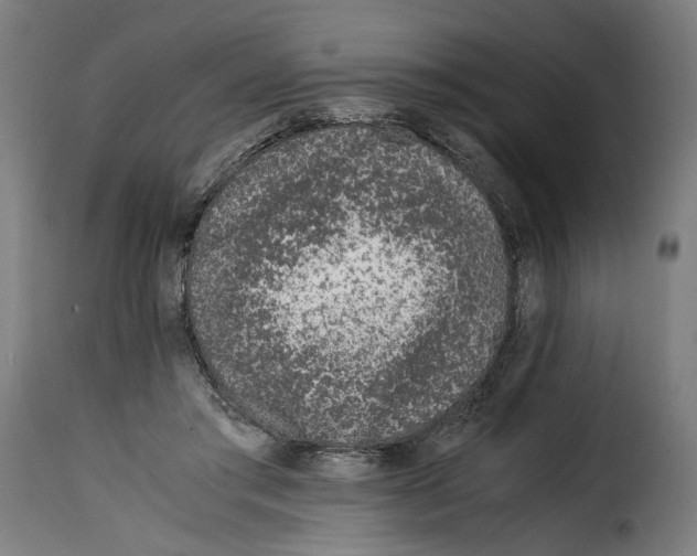 X0000115000405200911231209