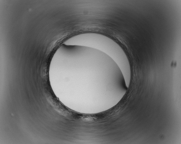 X0000115000407200911231209