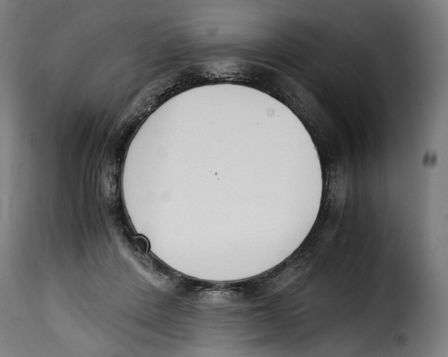 X0000115000408200911231209