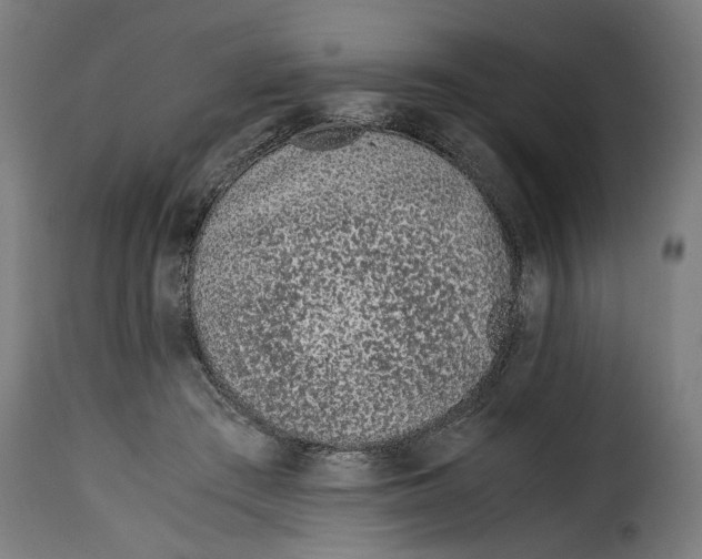 X0000115000409200911231209