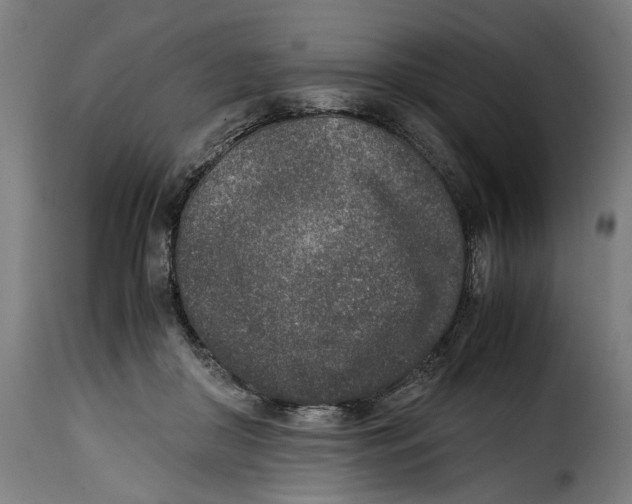 X0000115000410200911231209