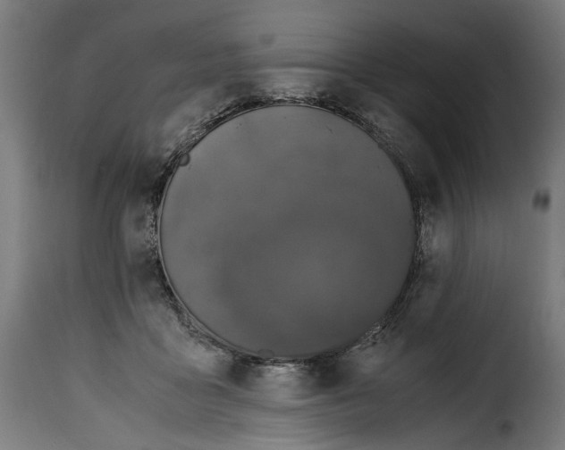 X0000115000411200911231209