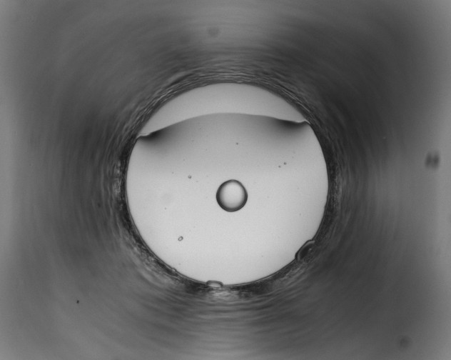 X0000115000413200911231209