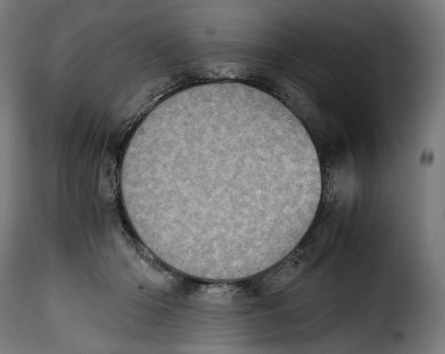 X0000115000414200911231209