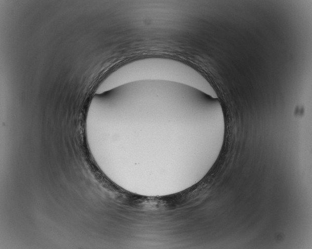 X0000115000415200911231209