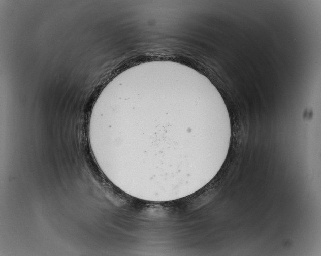 X0000115000416200911231209